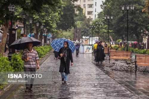 باد و باران در 12 استان