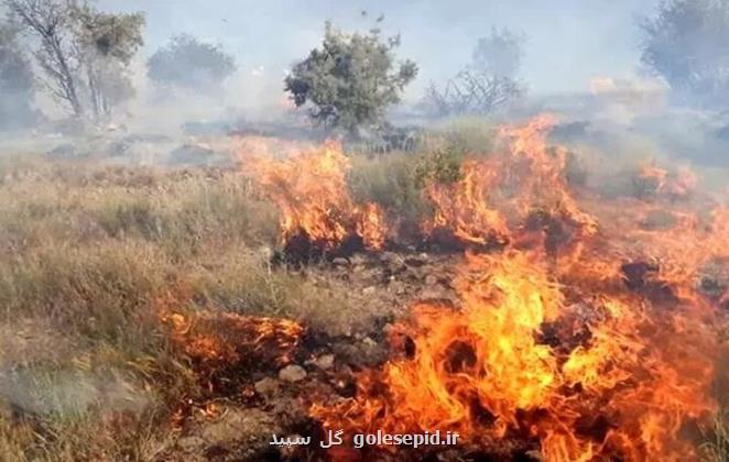 حریق در مراتع بغنه بزرگ شرقی دامغان رخ داد