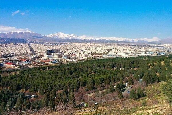 مردم به نام خود نهال در بوستان جنگلی سرخه حصار می کارند